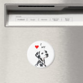 dalformation1, VBRSMCA27ZNVGCAQG0F1BCAMZLQ8CCA0X9H Magnet (In Situ (Geschirrspüler))