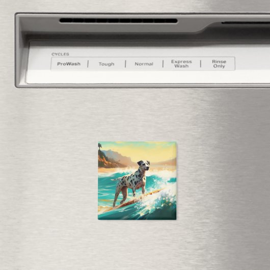 Dalformation Beach Surfgrafieren Magnet (In Situ (Geschirrspüler))