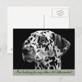 Dalformation Hund Postkarte (Vorne/Hinten)