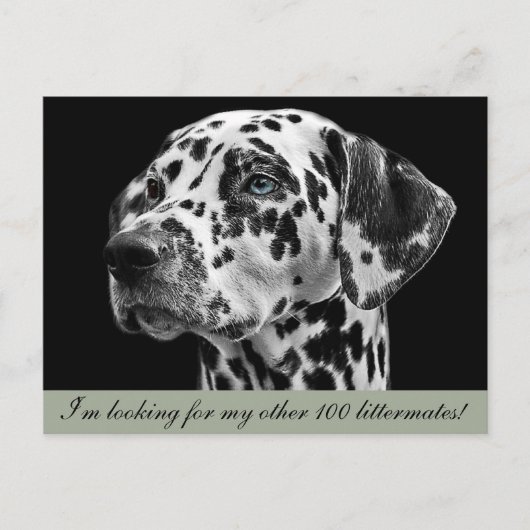 Dalformation Hund Postkarte (Vorderseite)
