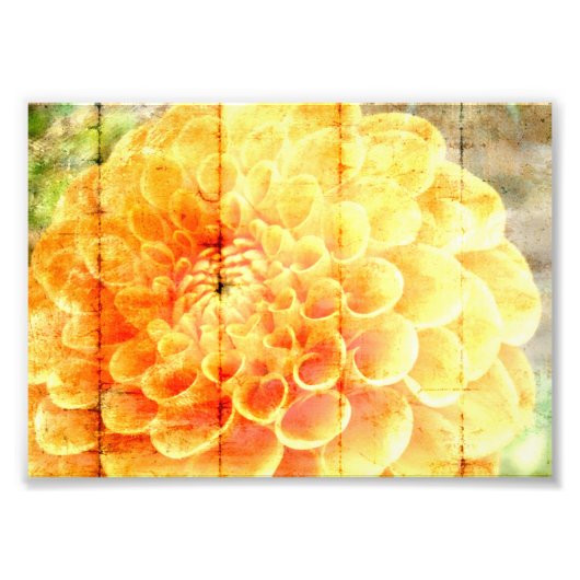 Dalie  fotodruck (Vorne)