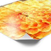 Dalie  fotodruck (Ecke)