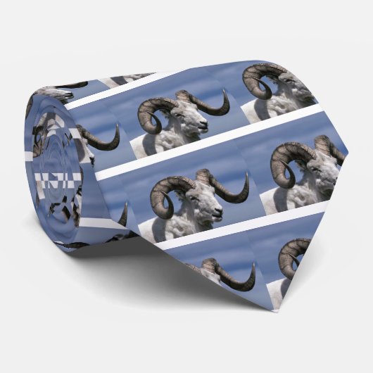 Dall Schafe (großes RAM) Krawatte (Gerollt)