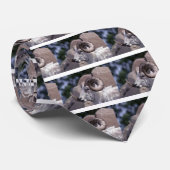 Dall Schafe (großes RAM) Krawatte (Gerollt)