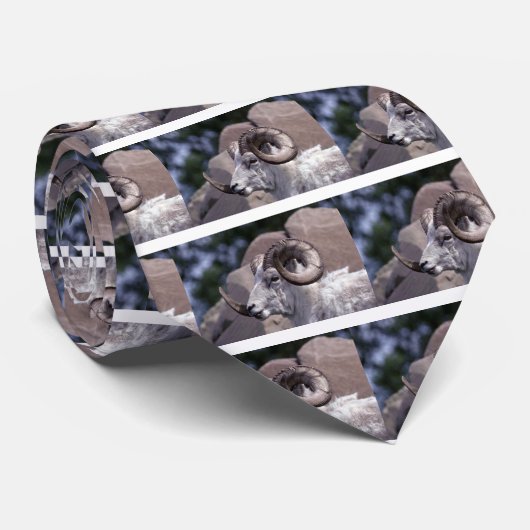 Dall Schafe (großes RAM) Krawatte (Gerollt)