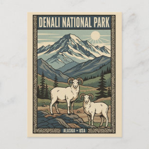 Dall-Schafe im Denali-Nationalpark Alaska Postkarte