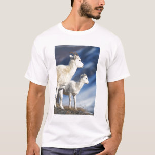 Dall-Schafe, Ovis dalli, Mutterschaf und Lamm T-Shirt