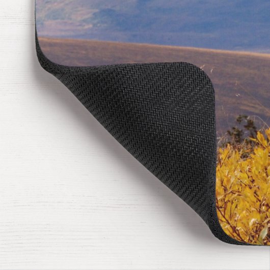 Dall Schafe, Ovis dalli, ram Mousepad (Ecke)