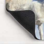 Dall Schafe, Ovis dalli, Schafe und Lamm Mousepad (Ecke)