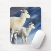Dall Schafe, Ovis dalli, Schafe und Lamm Mousepad (Mit Mouse)