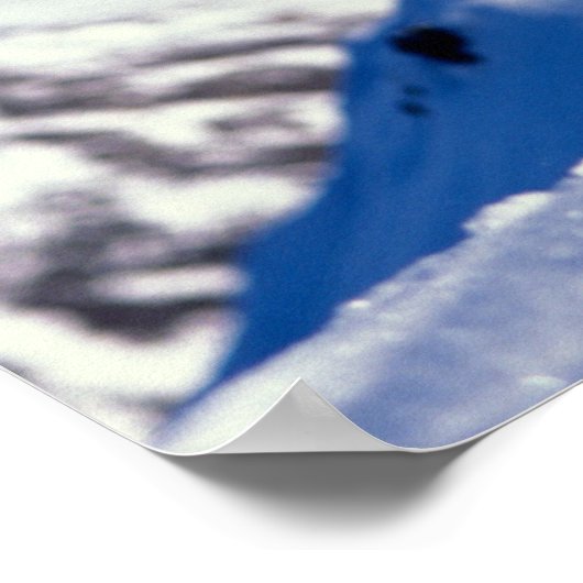 Dall Schafe, Ovis dalli, voller Curry auf einem Poster (Ecke)