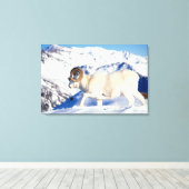 Dall Schafe, Ovis dalli, vollständiger ram Leinwanddruck (Insitu (Holzboden))