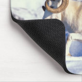 Dall Schafe, Ovis dalli, vollständiger ram Mousepad (Ecke)