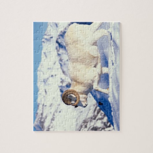 Dall Schafe, Ovis dalli, vollständiger ram Puzzle (Vertikal)