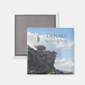 Dall Sheep Atop Mount Wright, Denali NP, Alaska Magnet (Vorderseite/Rückseite)