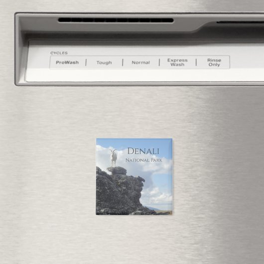 Dall Sheep Atop Mount Wright, Denali NP, Alaska Magnet (In Situ (Geschirrspüler))