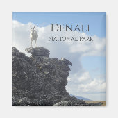 Dall Sheep Atop Mount Wright, Denali NP, Alaska Magnet (Vorne)