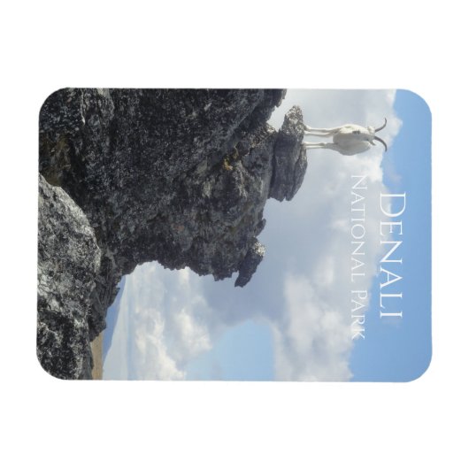 Dall Sheep Atop Mount Wright, Denali NP, Alaska Magnet (Horizontal)
