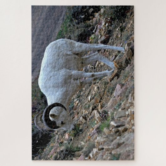Dall Sheep auf der Hillside Puzzle (Vertikal)