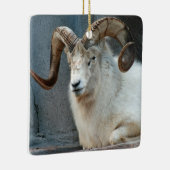 Dall Sheep Ornament (Rechts)