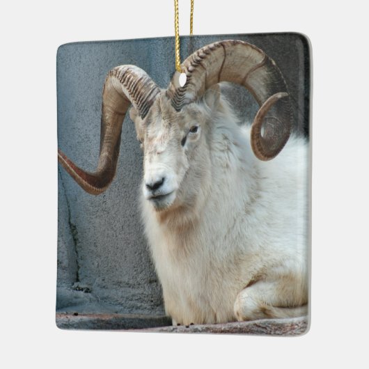 Dall Sheep Ornament (Links)