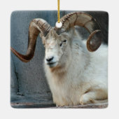 Dall Sheep Ornament (Rückseite)
