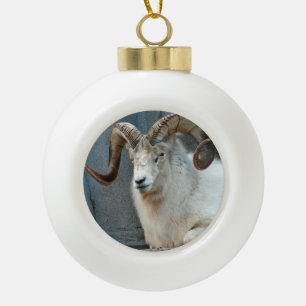 Dall Sheep Ornament