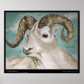 Dall Sheep Print, Value Poster Paper (Matte) (Vorne)