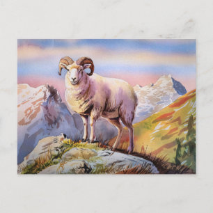 Dall Sheep Ram auf einem majestätischen Berg Postkarte