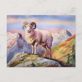 Dall Sheep Ram auf einem majestätischen Berg Postkarte