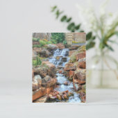 Dallas Arboretum und Botanischer Garten Postkarte (Stehend Vorderseite)