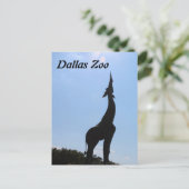 Dallas-Zoo Postkarte (Stehend Vorderseite)
