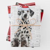 Dalmatian Dog Bold Red Holiday Plaid Christmas Geschenkpapier Set (Beispiel)