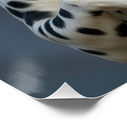 Dalmatian Dog With a Fire Hose Poster (Ecke)