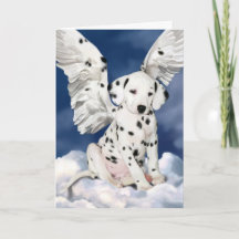 Dalmatian Engel Welpe