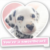 Dalmatian Heart Nose Aufkleber (Vorderseite)