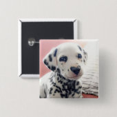 Dalmatian Heart Nose Button (Vorne & Hinten)