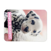 Dalmatian Heart Nose Magnet (Horizontal)
