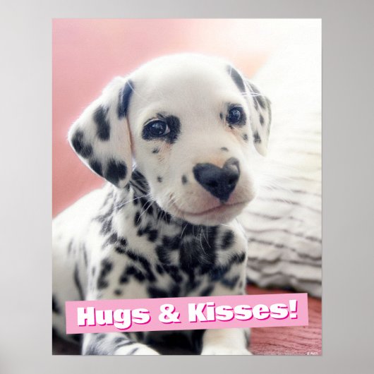 Dalmatian Heart Nose Poster (Vorne)