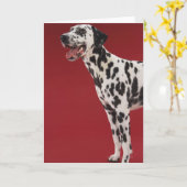 Dalmatian Karte (Gelbe Blume)