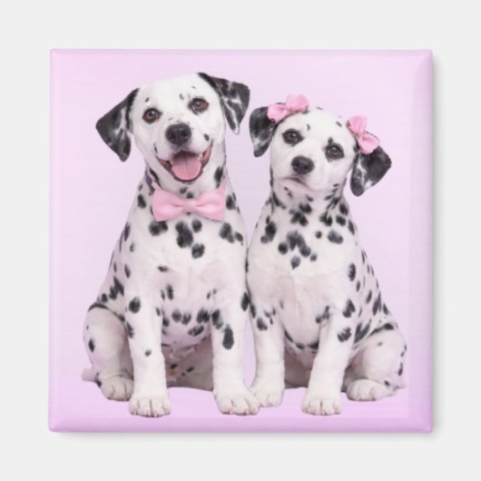 Dalmatian Puppy Love – Valentine Dog Couple Magnet (Vorne)