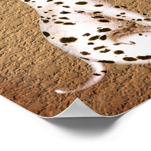 Dalmatian Puppy Rose Aged Paper Art Poster (Ecke)