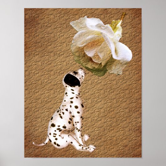 Dalmatian Puppy Rose Aged Paper Art Poster (Vorne)