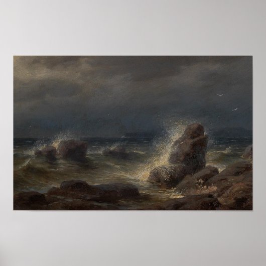 Dalmatien Poster (Vorne)