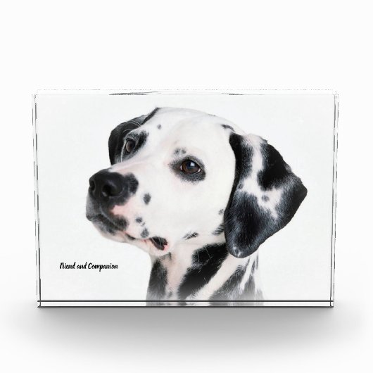 Dalmatinenhund Fotoblock (Vorderseite)