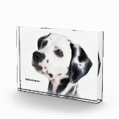 Dalmatinenhund Fotoblock (Rechts)