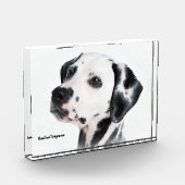Dalmatinenhund Fotoblock (Links)