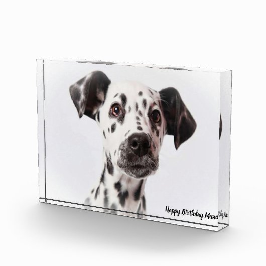 Dalmatinenhund Fotoblock (Rechts)