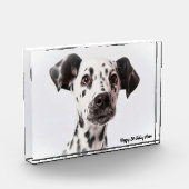 Dalmatinenhund Fotoblock (Links)