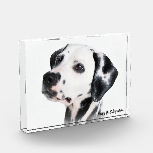 Dalmatinenhund Fotoblock (Links)